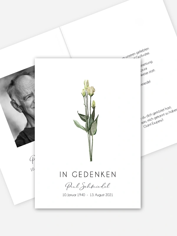 Weiße Rosen