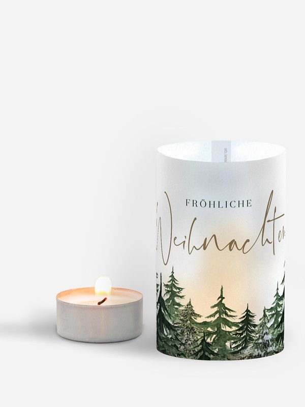 Warm Wintertrees