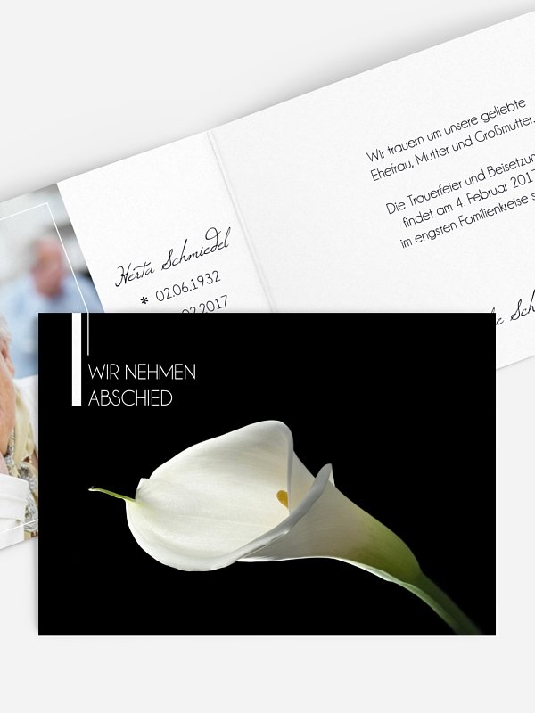 Calla