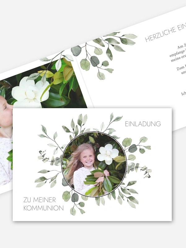 Eucalyptus Leaves