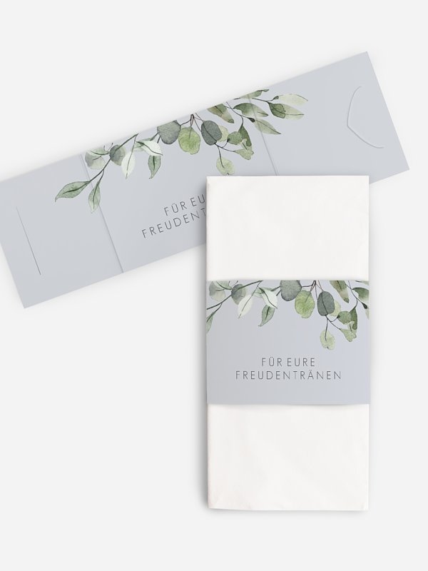Eucalyptus Leaves