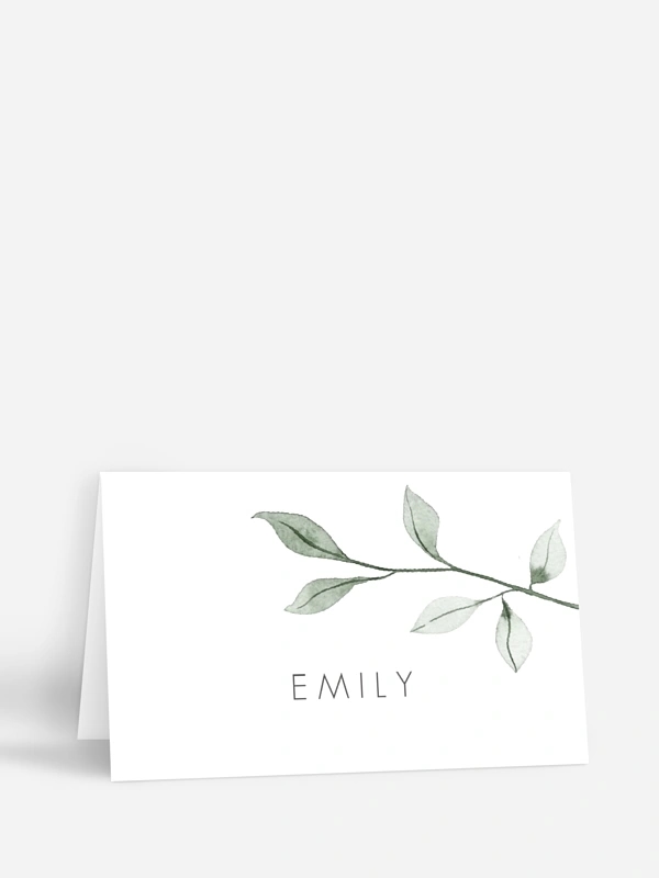 Eucalyptus Leaves