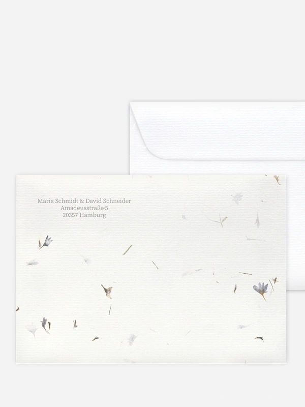 Dried Petals