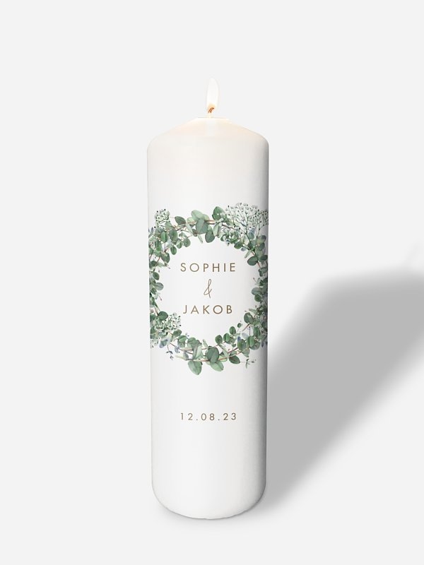 Gypsophila