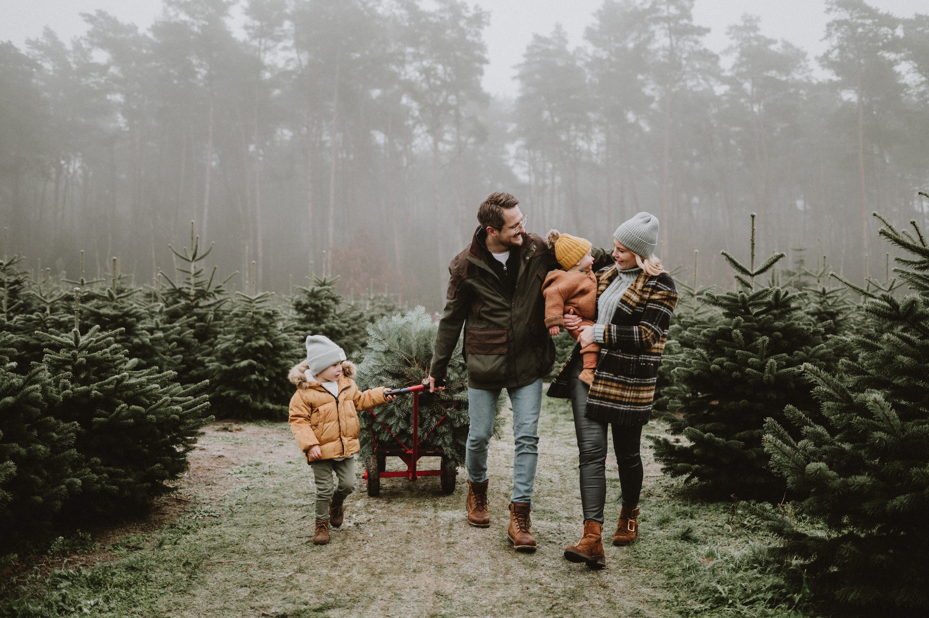 Familie beim Weihnachtsbaumaussuchen