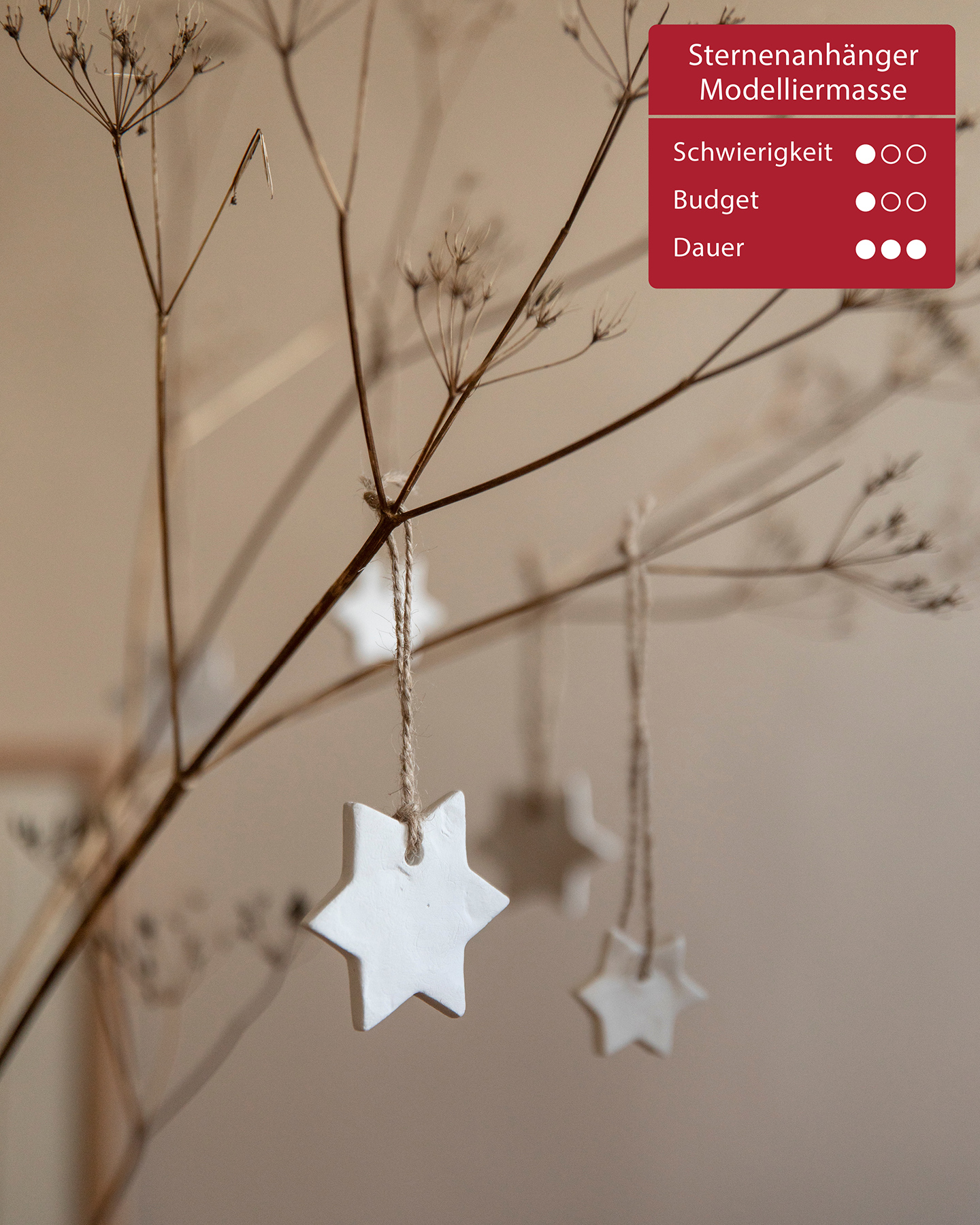 Stern aus Modelliermasse hängt als Weihnachtsbaumschmuck an einem Ast