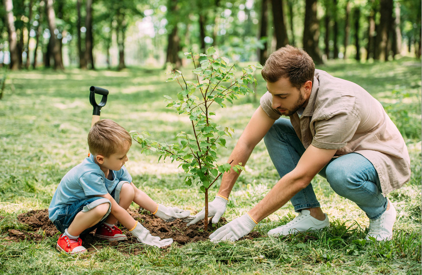 Vater und Sohn pflanzen gemeinsam einen Baum im Garten ein