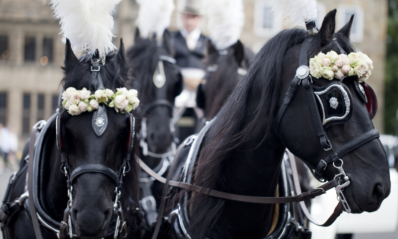 Peper Kutschfahrten Hochzeit