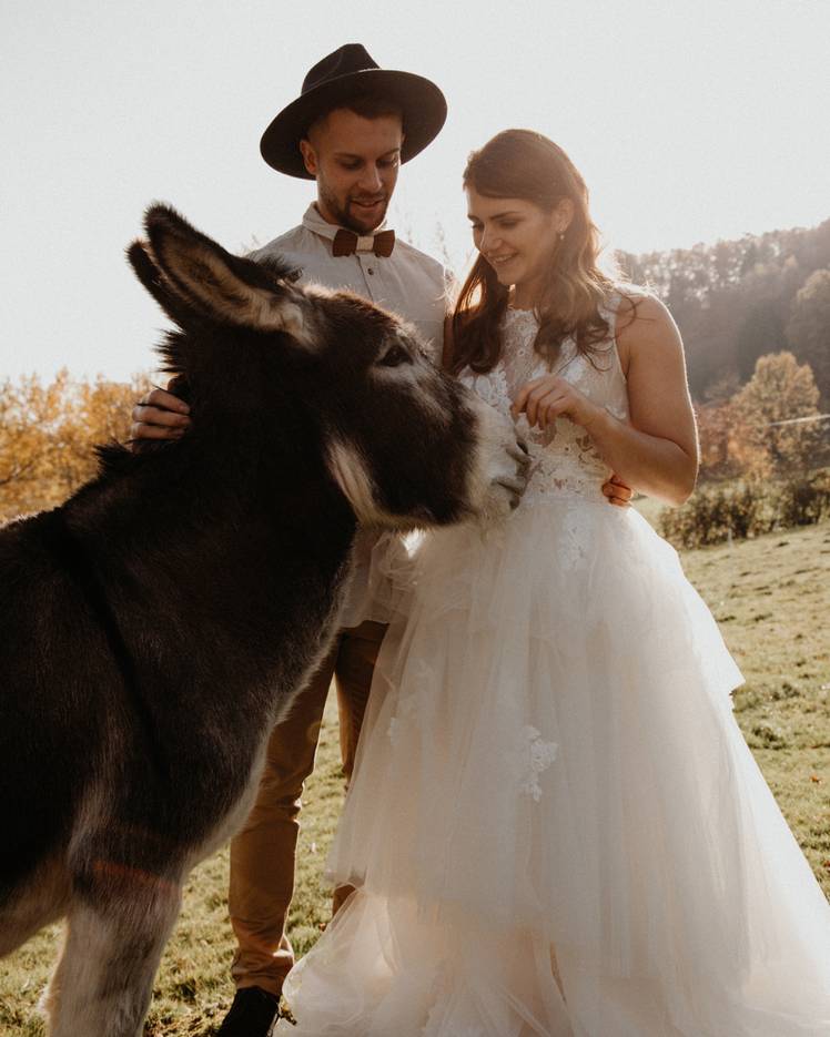 Picknick Hochzeit Tipps für eure innige Hochzeit im Freien