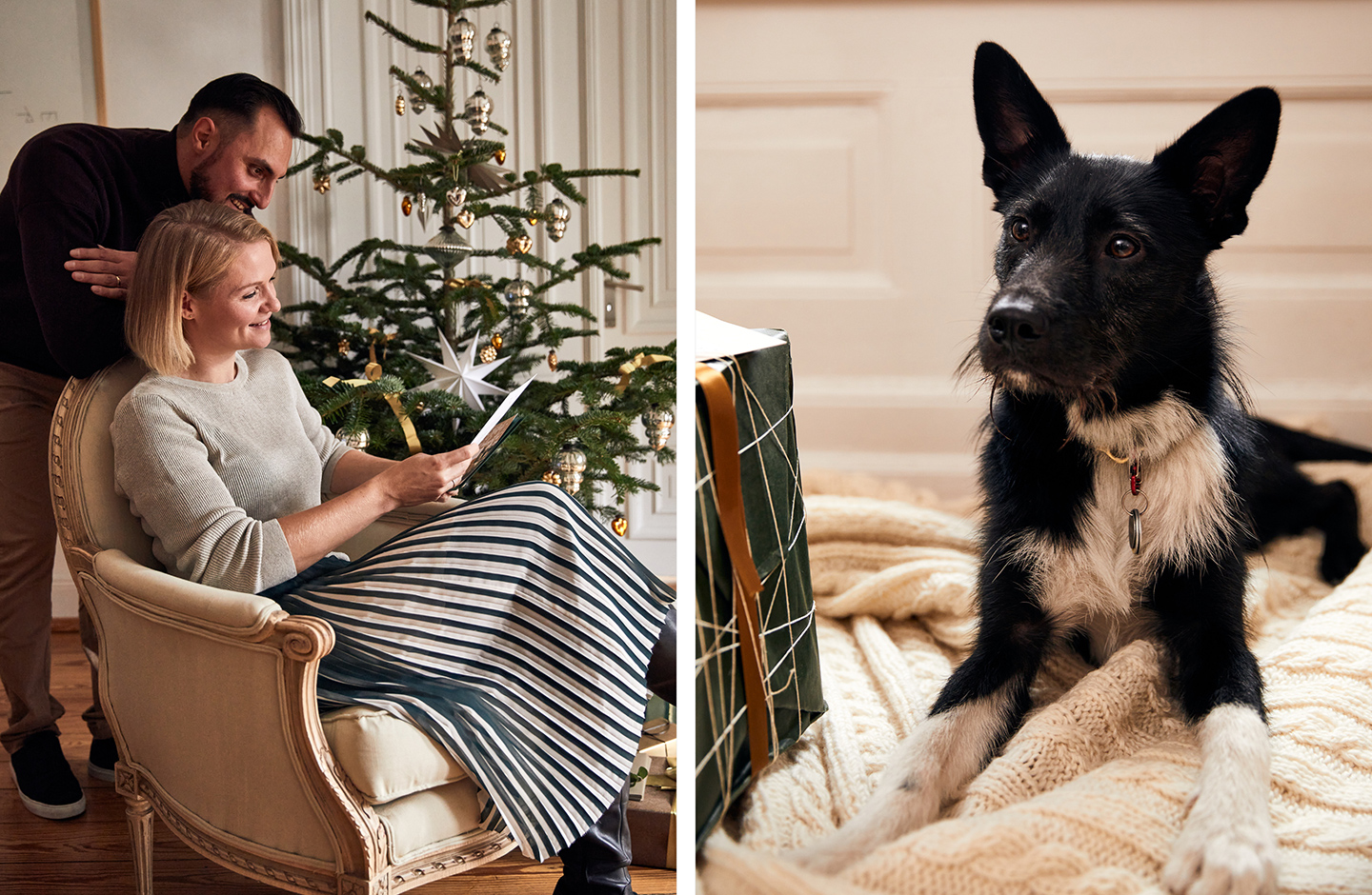 Weihnachtscheckliste: Verliebtes Paar liest Weihnachtspost und der Hund ist neugierig.