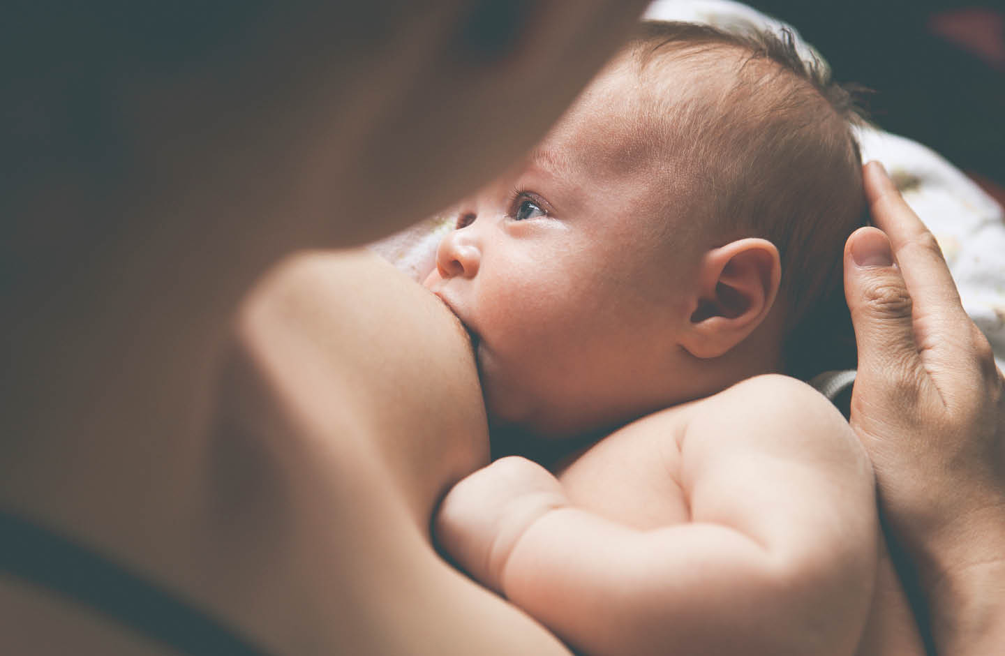 Mutter stillt Neugeborenes mit Haut-an-Haut-Kontakt