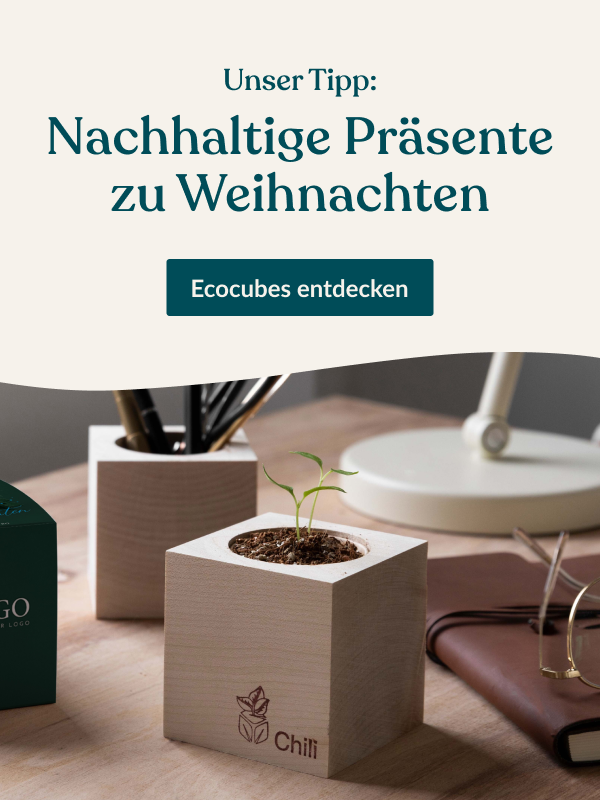 Jetzt entdecken Chili-Pflanze im Holzwürfel