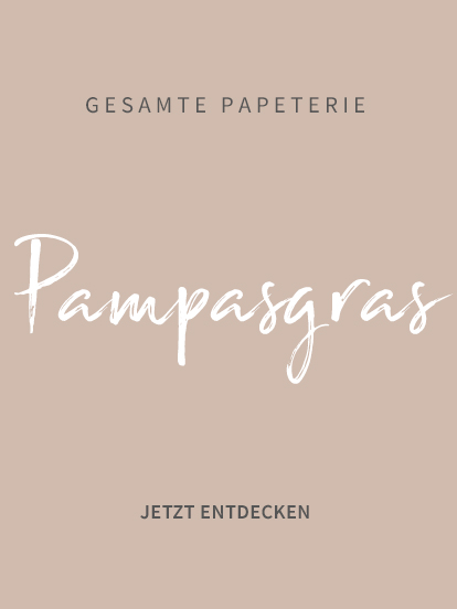 KOLLEKTION Pampasgras